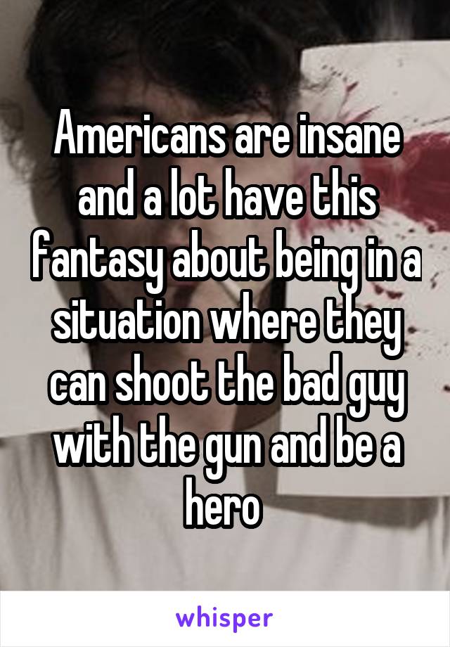 Americans are insane and a lot have this fantasy about being in a situation where they can shoot the bad guy with the gun and be a hero 