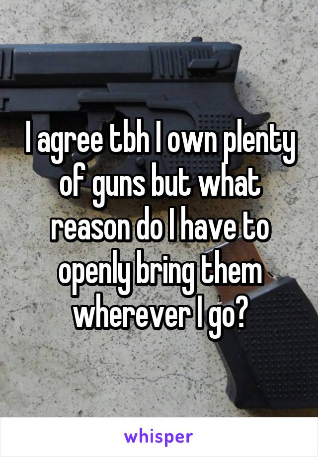 I agree tbh I own plenty of guns but what reason do I have to openly bring them wherever I go?