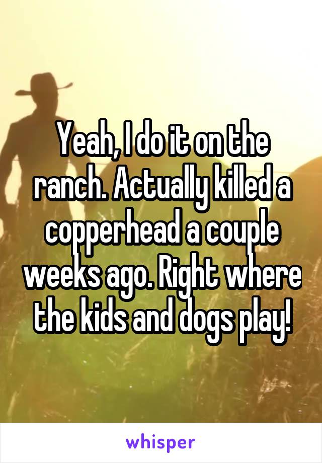 Yeah, I do it on the ranch. Actually killed a copperhead a couple weeks ago. Right where the kids and dogs play!