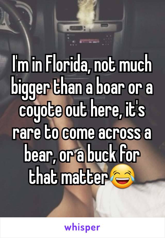 I'm in Florida, not much bigger than a boar or a coyote out here, it's rare to come across a bear, or a buck for that matter😂