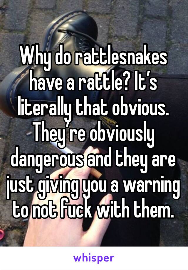 Why do rattlesnakes have a rattle? It’s literally that obvious. They’re obviously dangerous and they are just giving you a warning to not fuck with them. 