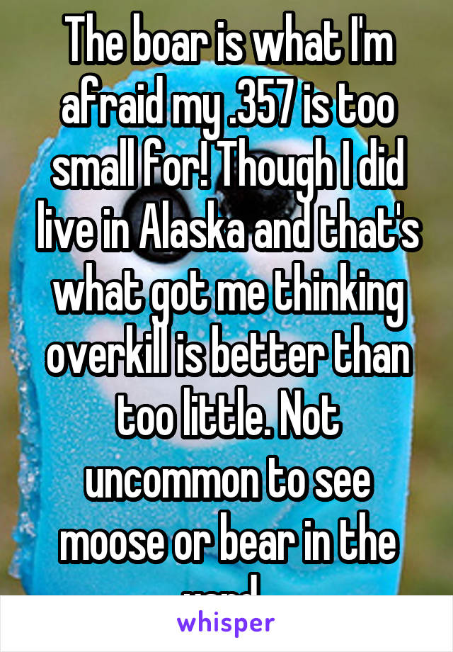 The boar is what I'm afraid my .357 is too small for! Though I did live in Alaska and that's what got me thinking overkill is better than too little. Not uncommon to see moose or bear in the yard. 