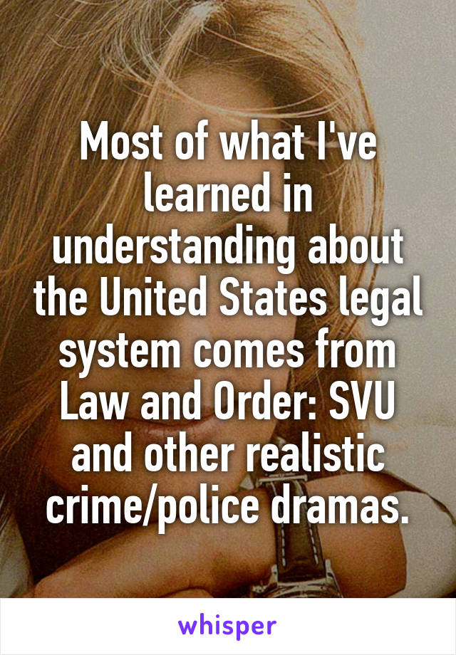 Most of what I've learned in understanding about the United States legal system comes from Law and Order: SVU and other realistic crime/police dramas.