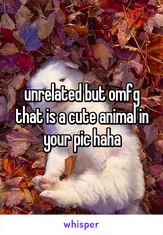 unrelated but omfg that is a cute animal in your pic haha