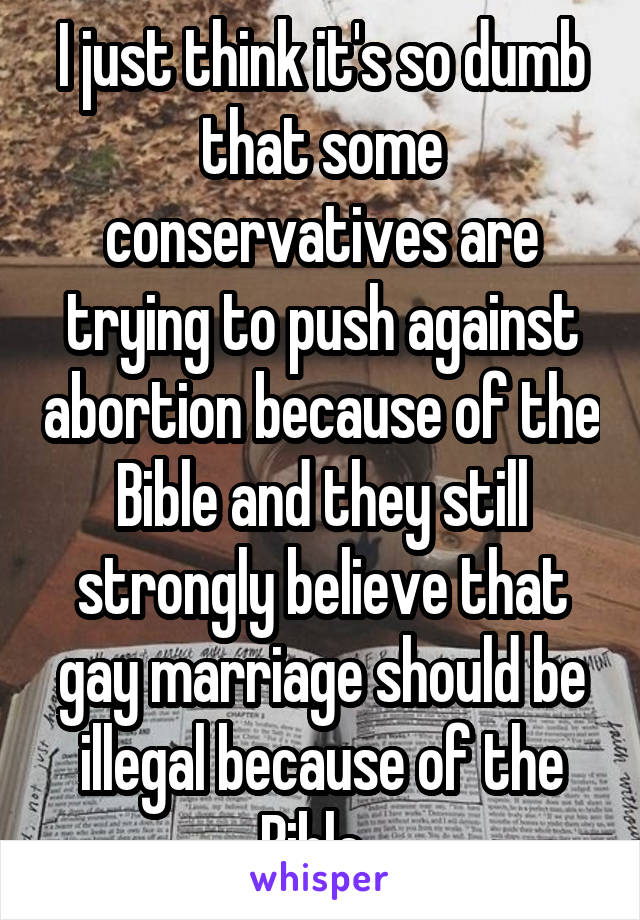 I just think it's so dumb that some conservatives are trying to push against abortion because of the Bible and they still strongly believe that gay marriage should be illegal because of the Bible. 