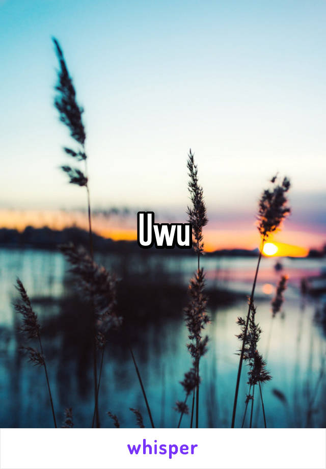 Uwu