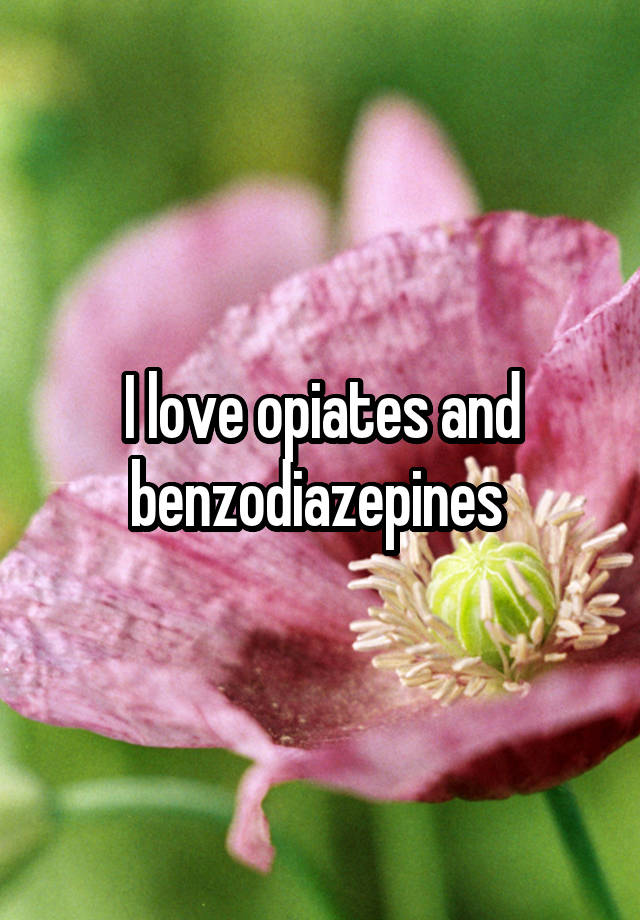 I love opiates and benzodiazepines 