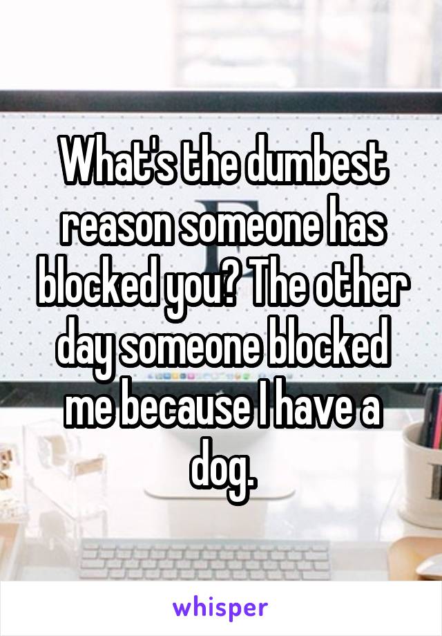 What's the dumbest reason someone has blocked you? The other day someone blocked me because I have a dog.