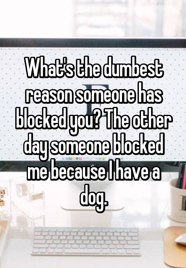 What's the dumbest reason someone has blocked you? The other day someone blocked me because I have a dog.