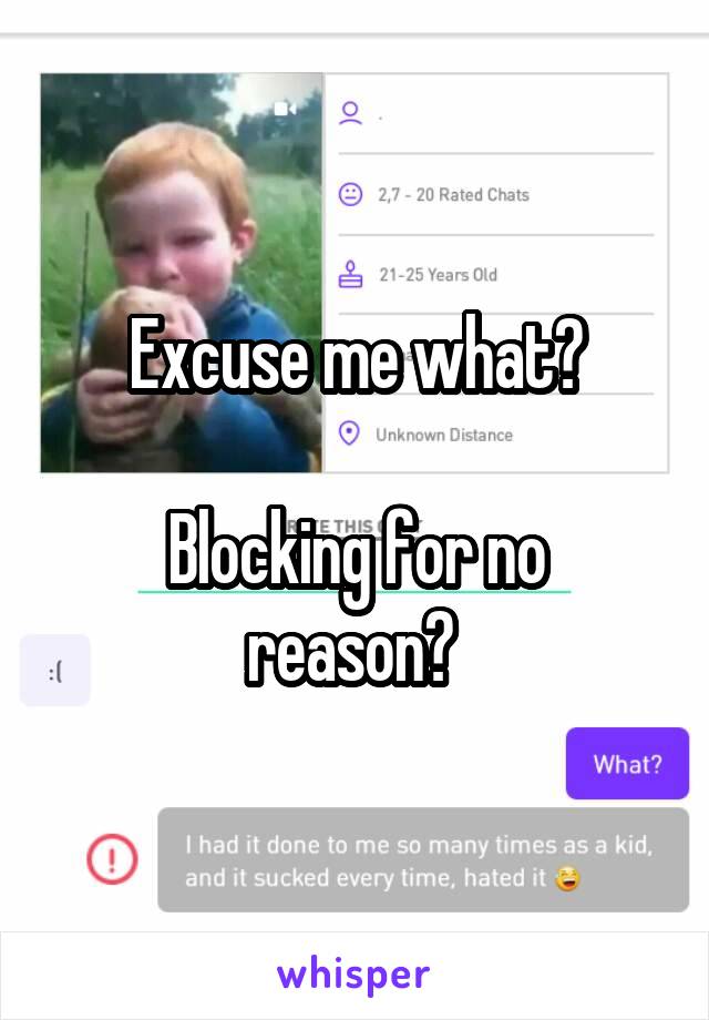 Excuse me what?

Blocking for no reason? 