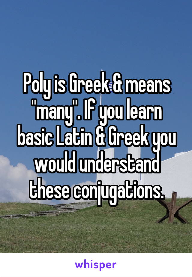 Poly is Greek & means "many". If you learn basic Latin & Greek you would understand these conjugations.