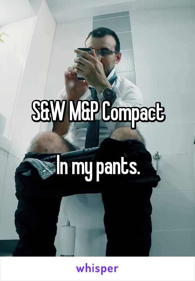 S&W M&P Compact

In my pants.