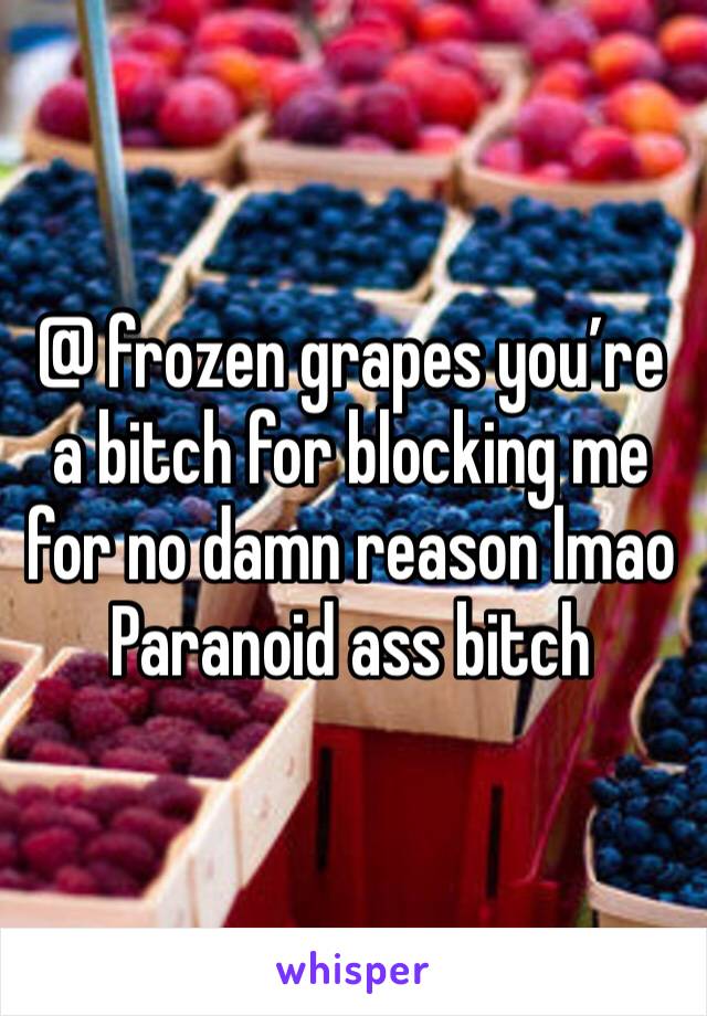 @ frozen grapes you’re a bitch for blocking me for no damn reason lmao 
Paranoid ass bitch 