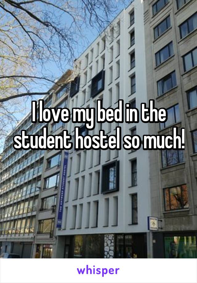 I love my bed in the student hostel so much! 