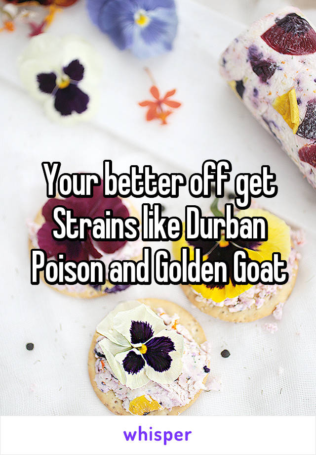 Your better off get Strains like Durban Poison and Golden Goat