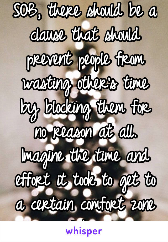 SOB, there should be a clause that should prevent people from wasting other's time by blocking them for no reason at all. Imagine the time and effort it took to get to a certain comfort zone and bam. 