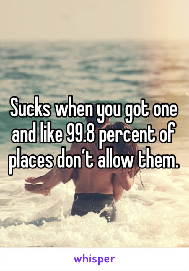 Sucks when you got one and like 99.8 percent of places don’t allow them.