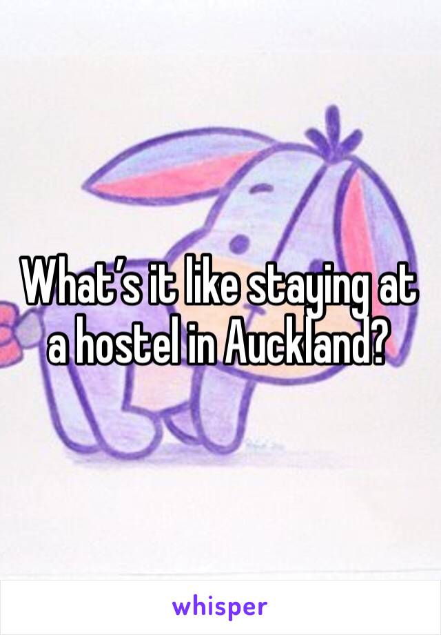 What’s it like staying at a hostel in Auckland?