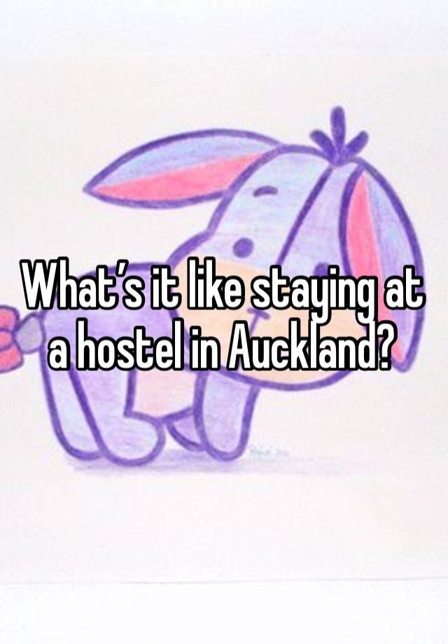 What’s it like staying at a hostel in Auckland?