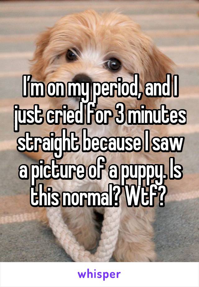 I’m on my period, and I just cried for 3 minutes straight because I saw a picture of a puppy. Is this normal? Wtf? 