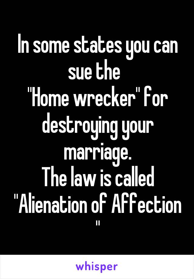 In some states you can sue the  
"Home wrecker" for destroying your marriage.
The law is called "Alienation of Affection "