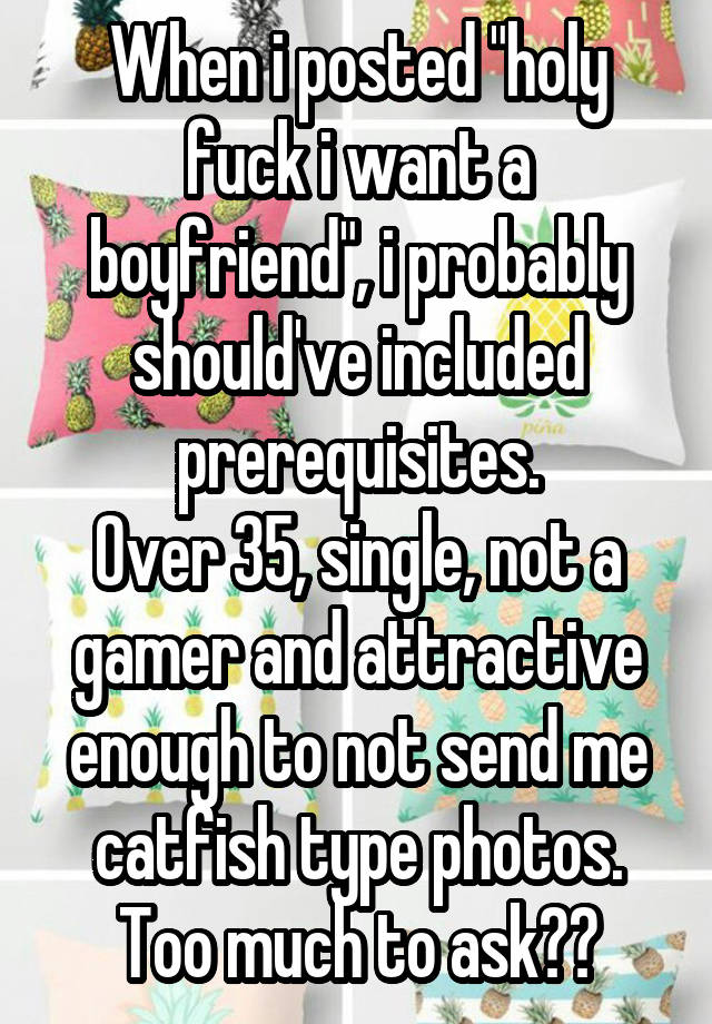 When i posted "holy fuck i want a boyfriend", i probably should've included prerequisites.
Over 35, single, not a gamer and attractive enough to not send me catfish type photos.
Too much to ask??