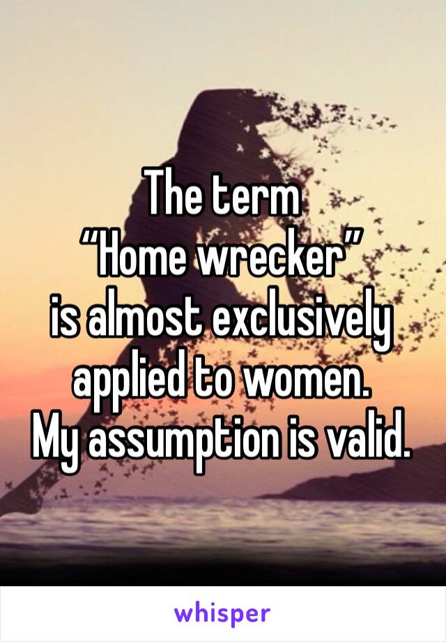 The term
“Home wrecker”
is almost exclusively applied to women.
My assumption is valid.