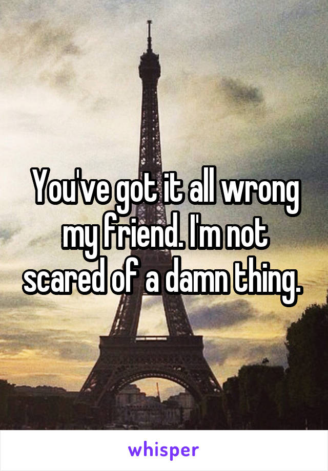 You've got it all wrong my friend. I'm not scared of a damn thing. 