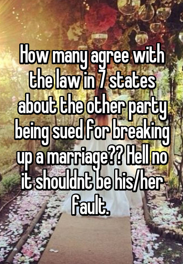 How many agree with the law in 7 states about the other party being sued for breaking up a marriage?? Hell no it shouldnt be his/her fault. 