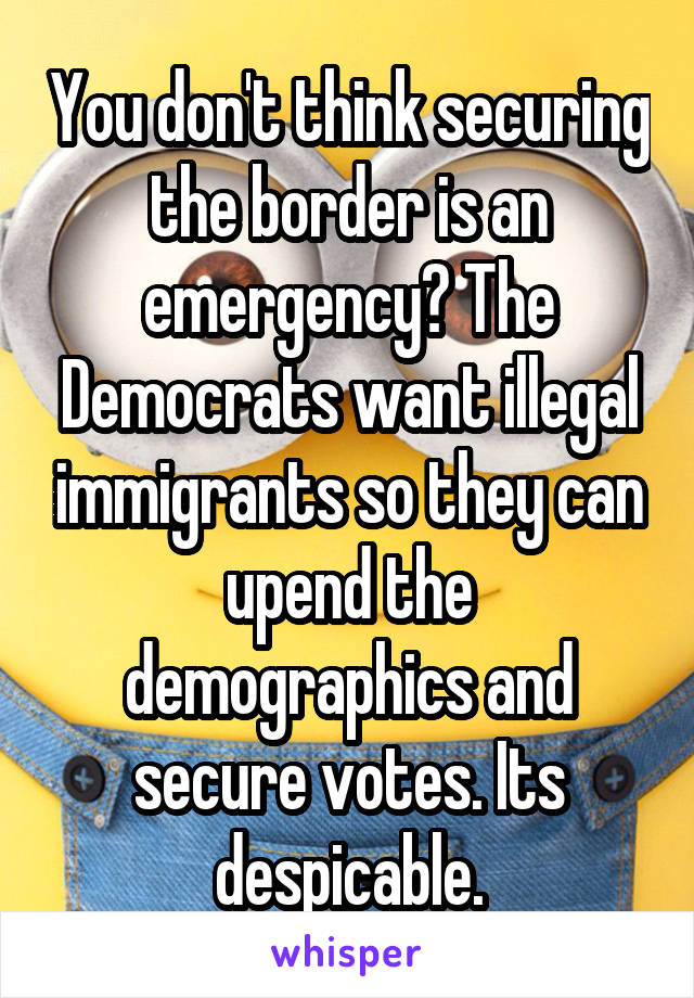 You don't think securing the border is an emergency? The Democrats want illegal immigrants so they can upend the demographics and secure votes. Its despicable.