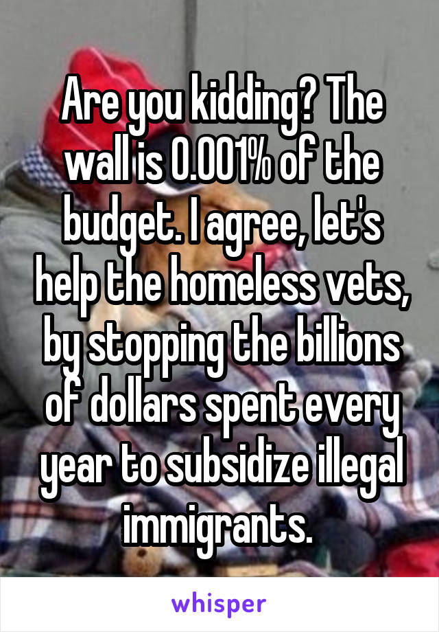 Are you kidding? The wall is 0.001% of the budget. I agree, let's help the homeless vets, by stopping the billions of dollars spent every year to subsidize illegal immigrants. 