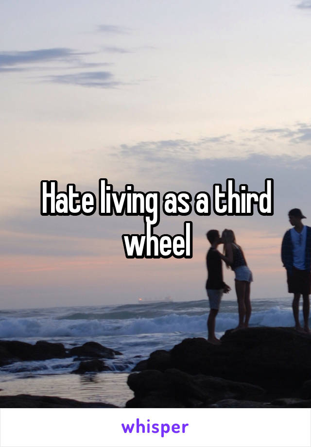 Hate living as a third wheel