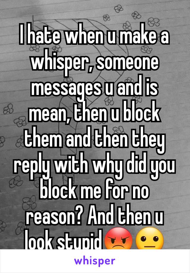 I hate when u make a whisper, someone messages u and is mean, then u block them and then they reply with why did you block me for no reason? And then u look stupid😡😐