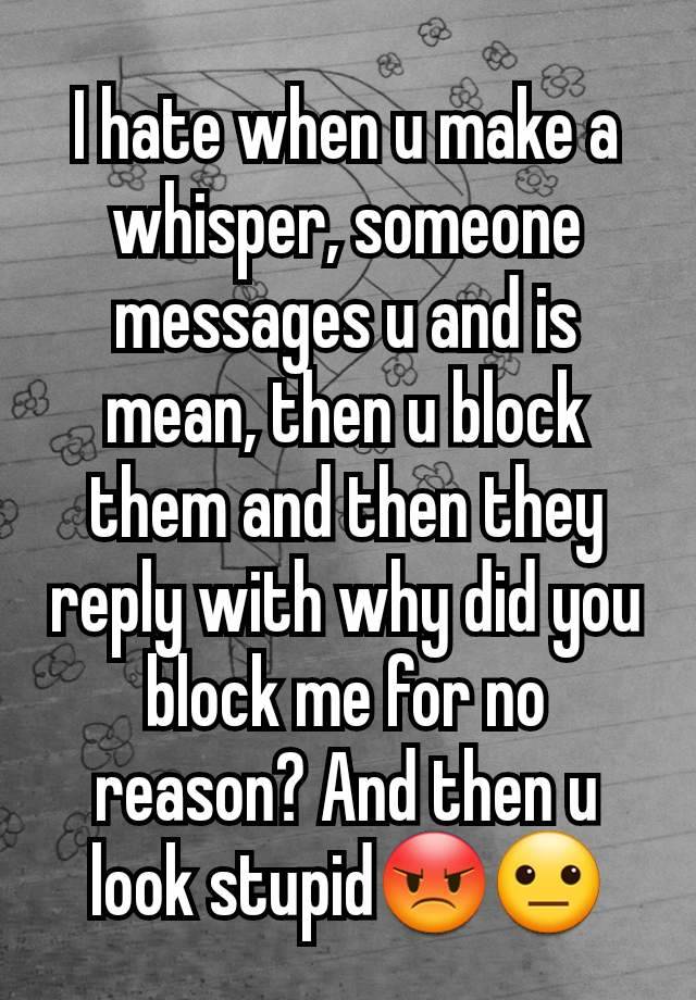 I hate when u make a whisper, someone messages u and is mean, then u block them and then they reply with why did you block me for no reason? And then u look stupid😡😐