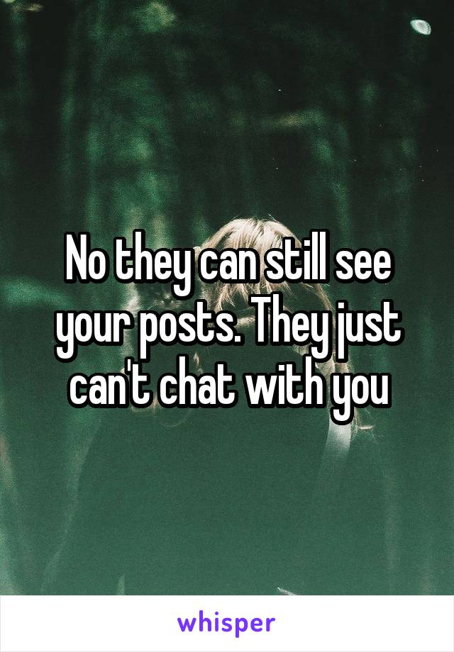 No they can still see your posts. They just can't chat with you