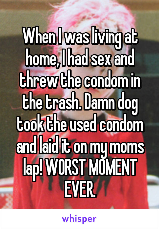 When I was living at home, I had sex and threw the condom in the trash. Damn dog took the used condom and laid it on my moms lap! WORST MOMENT EVER.