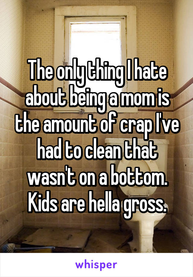 The only thing I hate about being a mom is the amount of crap I've had to clean that wasn't on a bottom. Kids are hella gross.