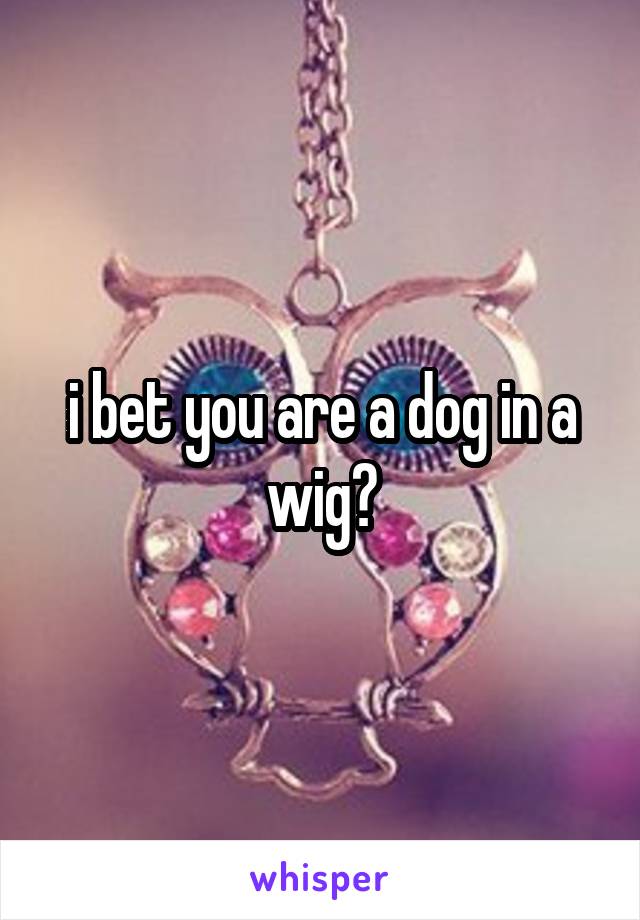 i bet you are a dog in a wig?