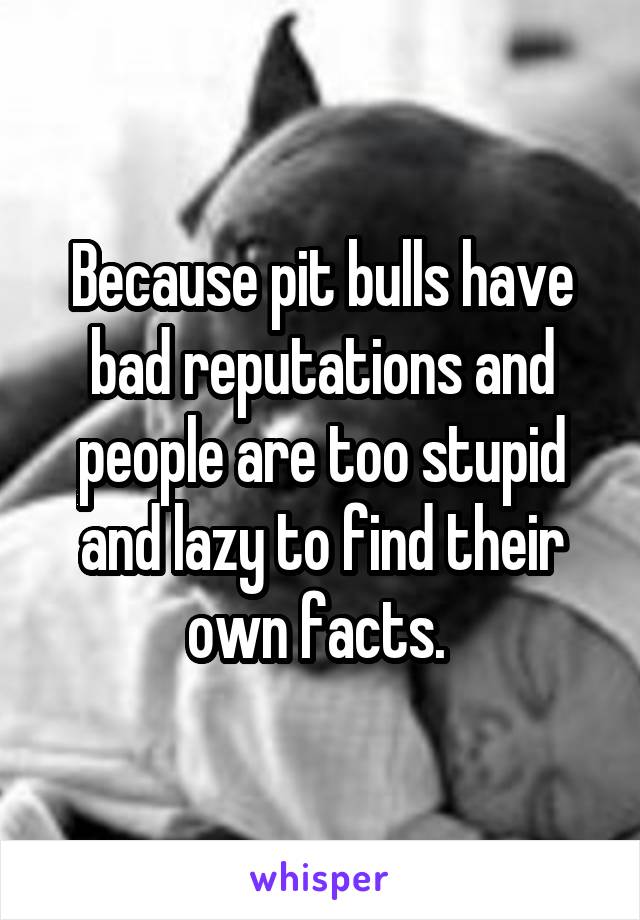 Because pit bulls have bad reputations and people are too stupid and lazy to find their own facts. 