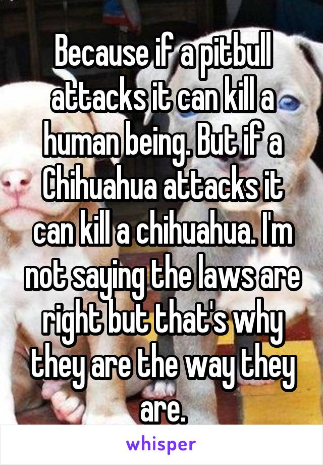 Because if a pitbull attacks it can kill a human being. But if a Chihuahua attacks it can kill a chihuahua. I'm not saying the laws are right but that's why they are the way they are.