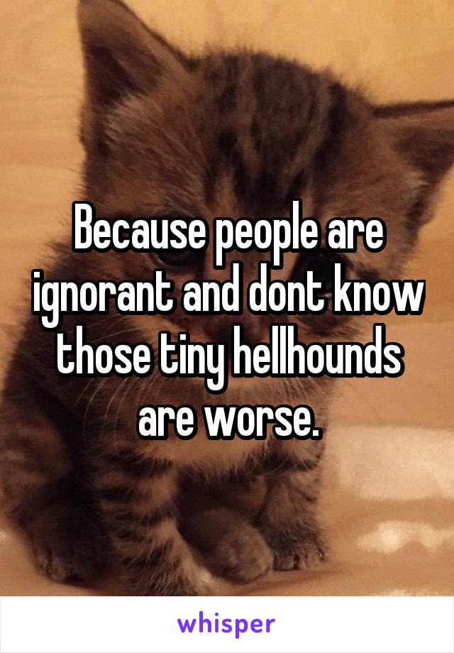 Because people are ignorant and dont know those tiny hellhounds are worse.