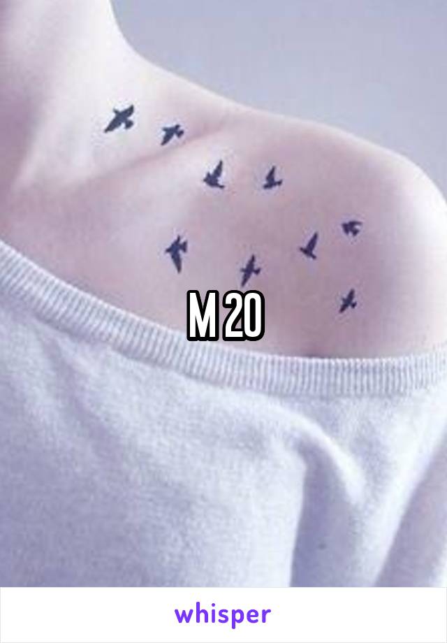 M 20