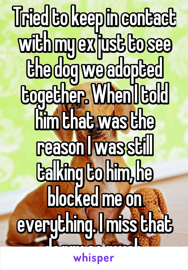 Tried to keep in contact with my ex just to see the dog we adopted together. When I told him that was the reason I was still talking to him, he blocked me on everything. I miss that doggy so much.