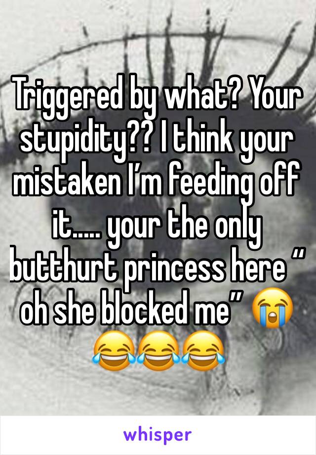 Triggered by what? Your stupidity?? I think your mistaken I’m feeding off it..... your the only butthurt princess here “ oh she blocked me” 😭😂😂😂