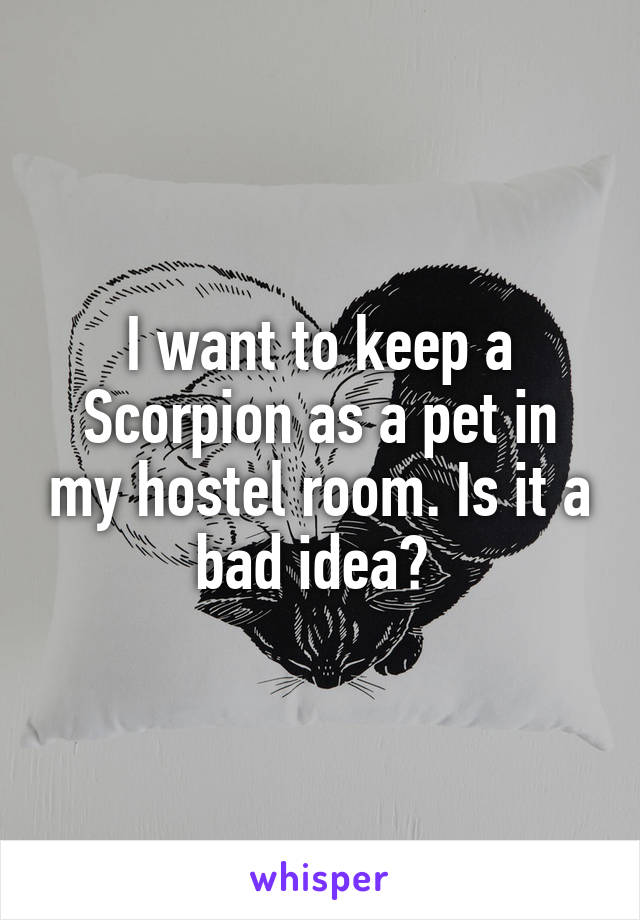 I want to keep a Scorpion as a pet in my hostel room. Is it a bad idea? 