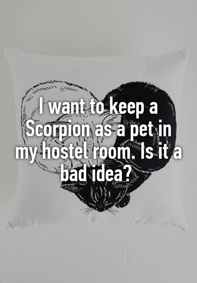 I want to keep a Scorpion as a pet in my hostel room. Is it a bad idea? 