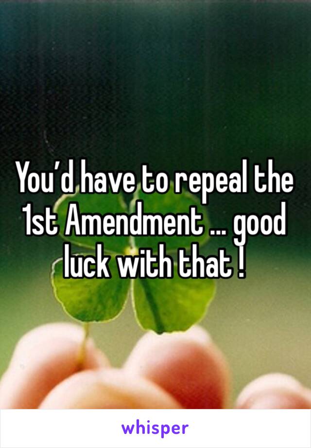 You’d have to repeal the 1st Amendment ... good luck with that !