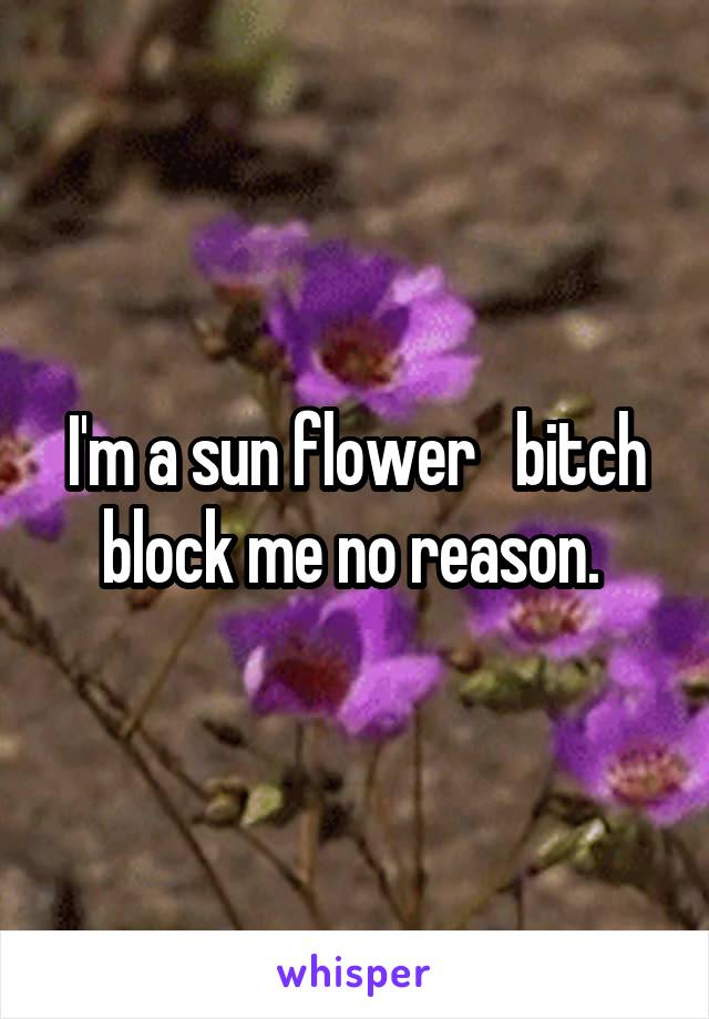 I'm a sun flower   bitch block me no reason. 