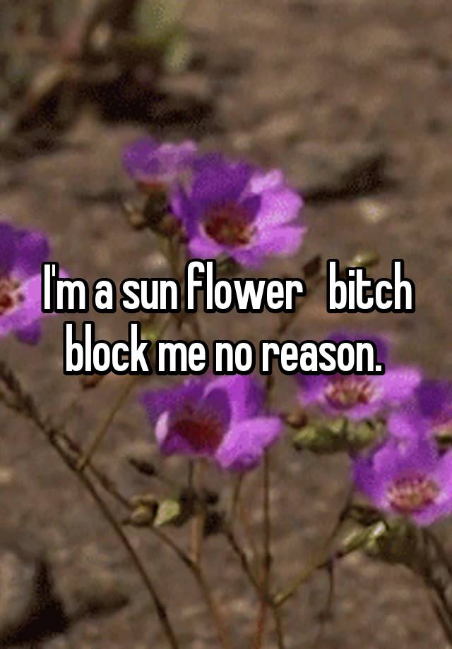 I'm a sun flower   bitch block me no reason. 