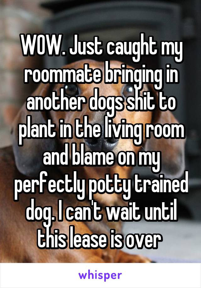 WOW. Just caught my roommate bringing in another dogs shit to plant in the living room and blame on my perfectly potty trained dog. I can't wait until this lease is over 